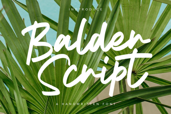 Balder Script: The Brush Font That Brings Personality to Your Designs