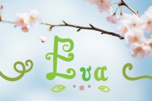 Eva Script: A Hand-Drawn Font for Authentic Creative Projects