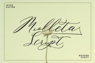 Miolleta Script: A Dance of Classic and Modern Style