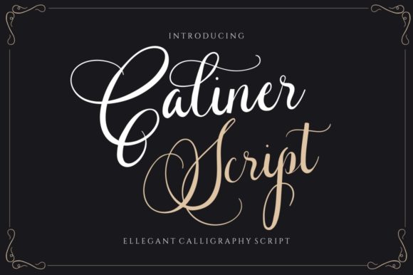 The Elegant Touch: Why Caliner Script is a Designer's Secret Weapon