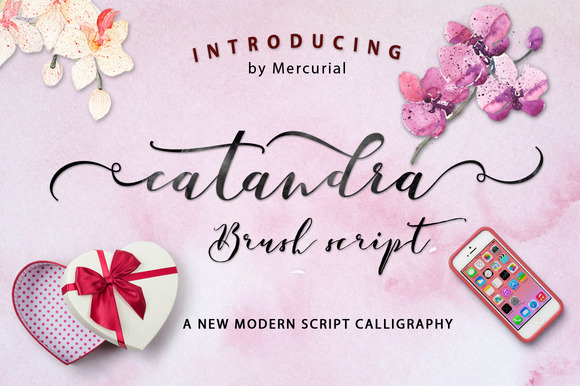 Why Catandra Script Feels Like a Handwritten Conversation